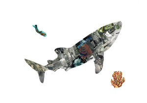 Whale Shark Postage Stamp Collage Print by Katie Conley